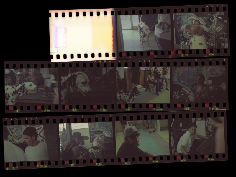File:Negatives2.jpg