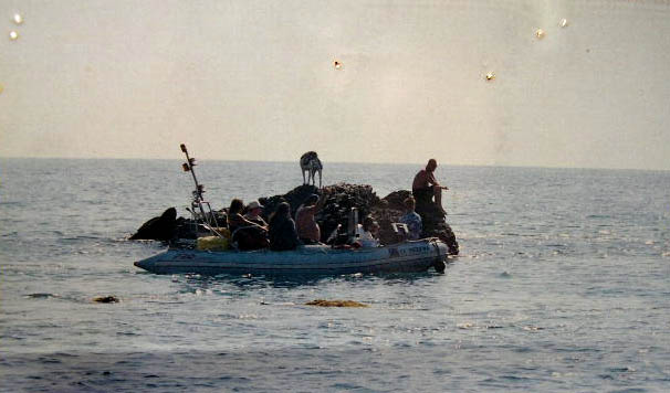 Sublimereef.JPG